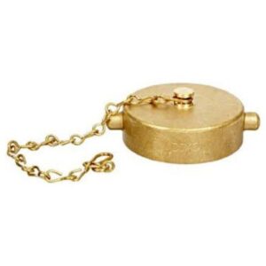 DIXON DXFC250F 2 1/2 in. Cast Brass Pin Lug Cap & Chain NST(NH)