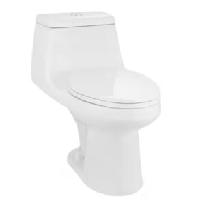 GLACIER BAY N2420 McClure 12-inch Rough in One-Piece 1.1 GPF/1.6 GPF Dual Flush Elongated Toilet in White