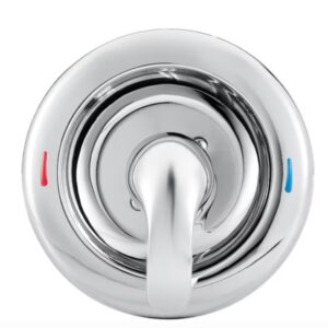 MOEN 181119 Chateau Chrome Shower Handle